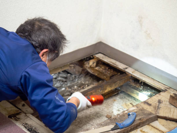 Office Mold Removal Services in Mount Joy, PA