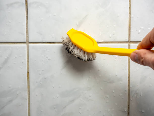 Best Toxic Mold Removal  in Mount Joy, PA