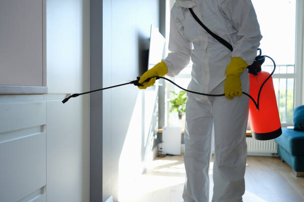 Professional Mold Removal in Mount Joy, PA