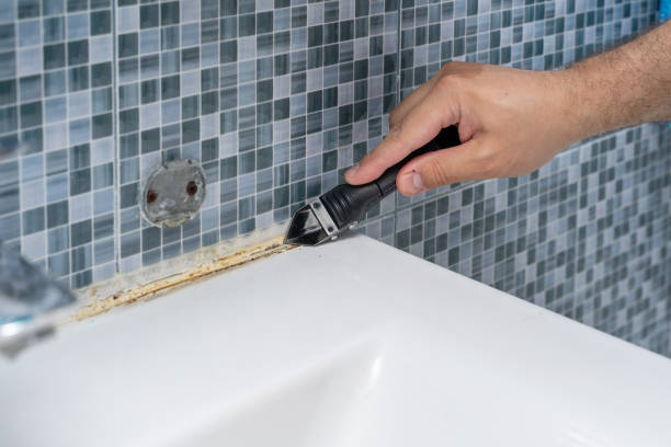 Best Fast Mold Removal  in Mount Joy, PA