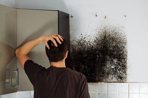 Water Damage Restoration in Mount Joy, PA